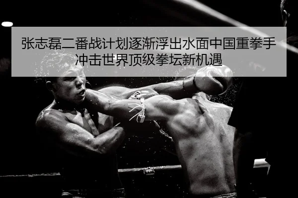 张志磊二番战计划逐渐浮出水面中国重拳手冲击世界顶级拳坛新机遇